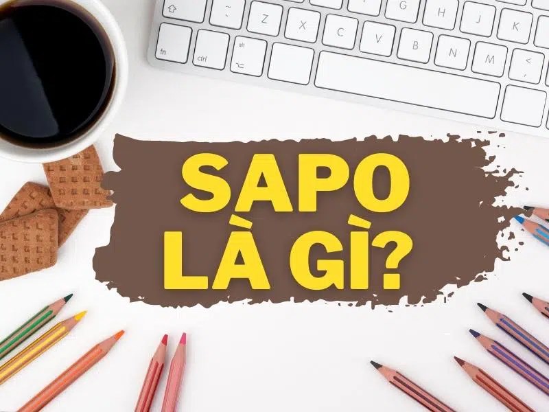 Sapo còn được gọi là đoạn mở đầu hay phần giới thiệu