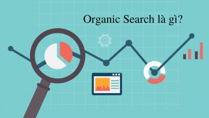 Organic Search là gì?