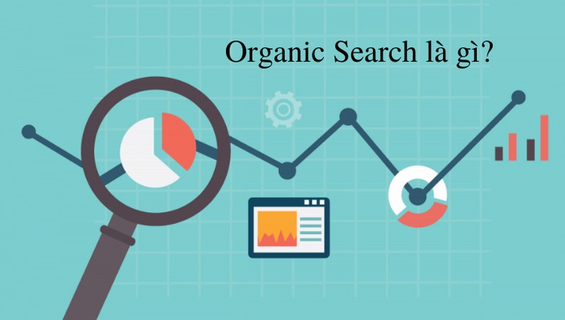 Organic Search là gì?