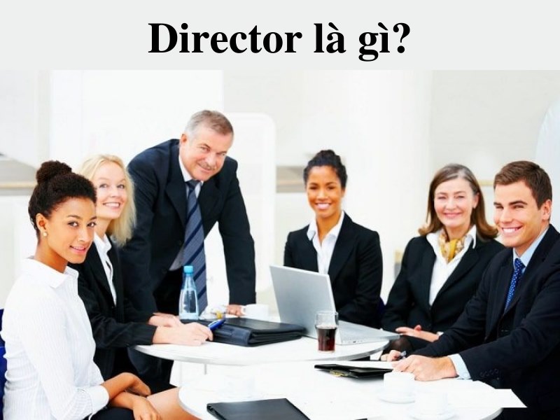 Director, hay còn gọi là Giám đốc, là người chịu trách nhiệm lãnh đạo