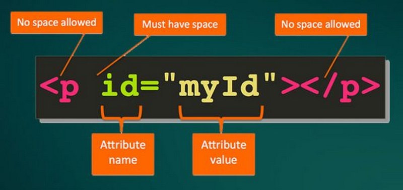 Cách sử dụng attribute hiệu quả