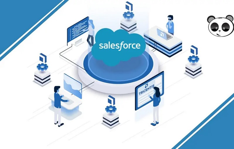 Salesforce cho phép người dùng truy cập và quản lý dữ liệu khách hàng