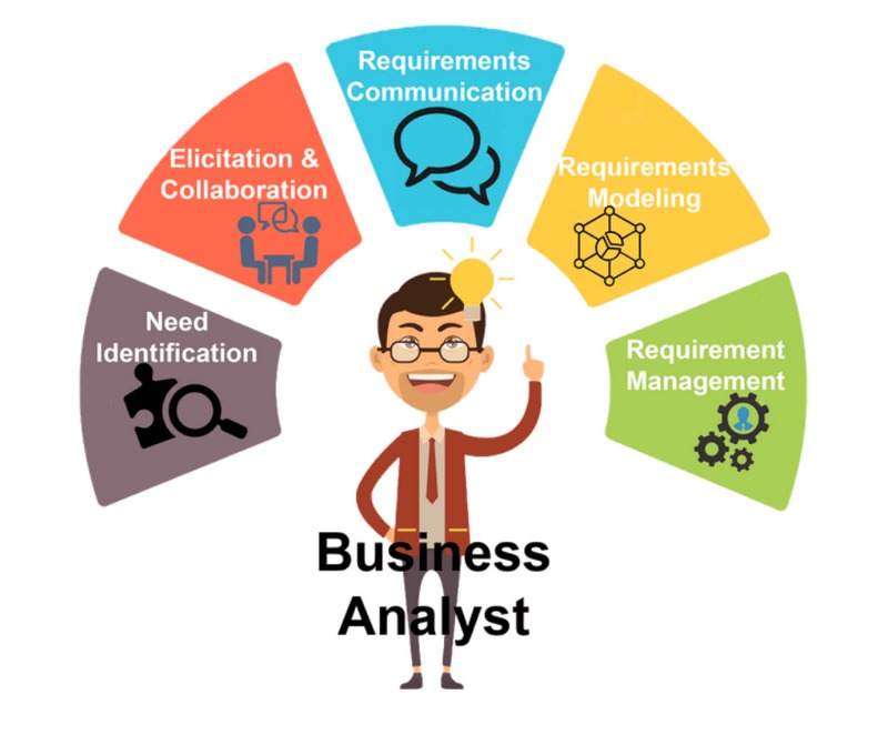 Business Analyst (BA) là người chuyên phân tích các nhu cầu kinh doanh