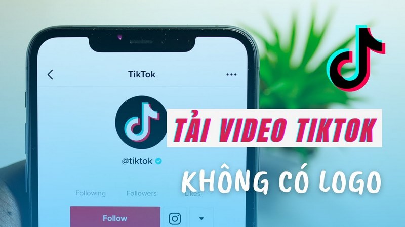 Lưu ý khi tải video TikTok không logo