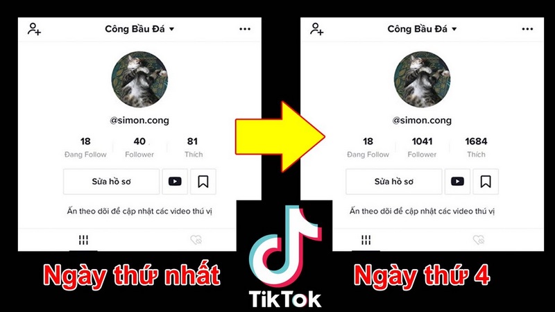 Tương tác với người dùng khác để tăng follow tiktok