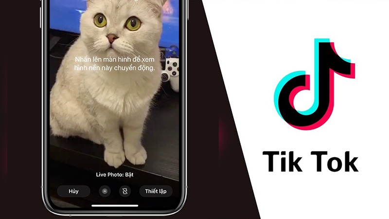 TikTok cung cấp tính năng cho phép người dùng lưu video trực tiếp