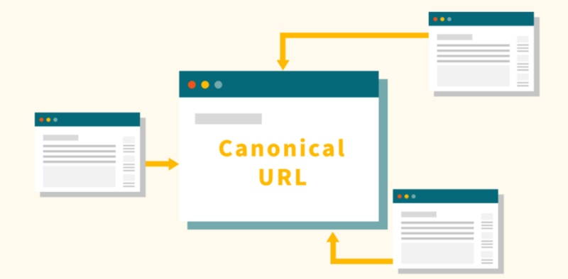 Hãy kiểm tra trang web đã được cài đặt thẻ canonical hay chưa